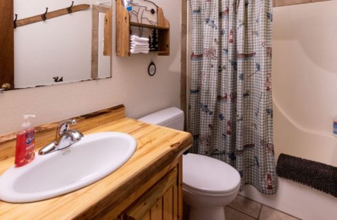 Guest bathroom with custom log cabinet, antique ski with hooks.