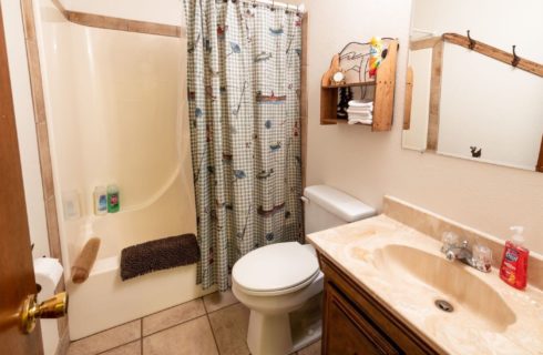 Guest bathroom with combined shower and tub, tile floors.