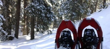 Snowshoe in forest