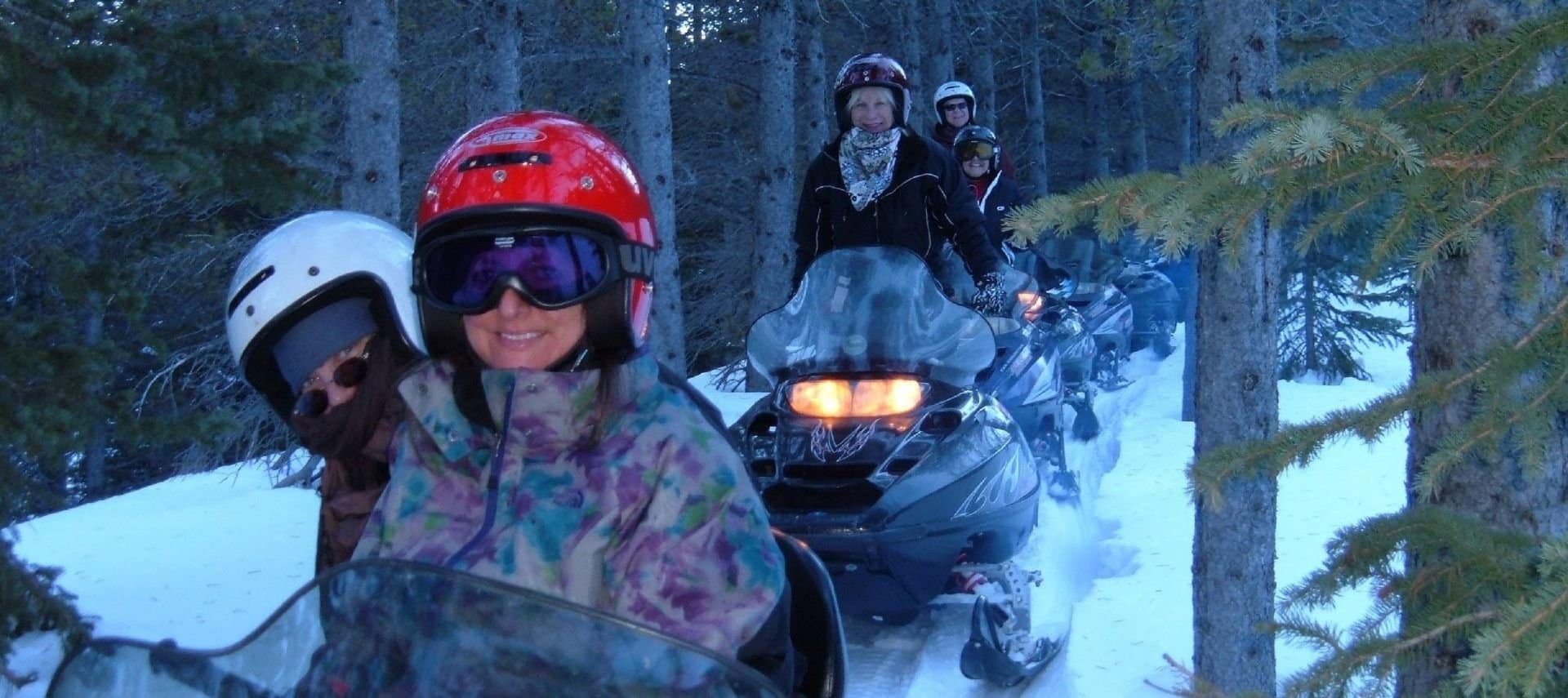 Four people snowmobiling in the woods.
