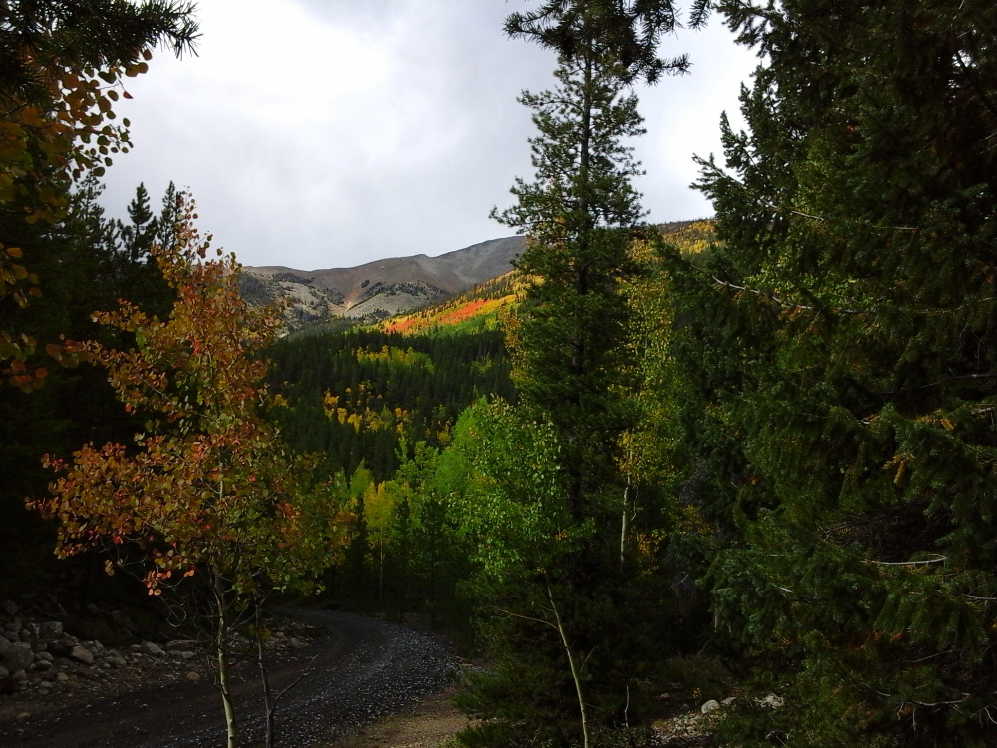View of the fall colors up Middle Fork road.