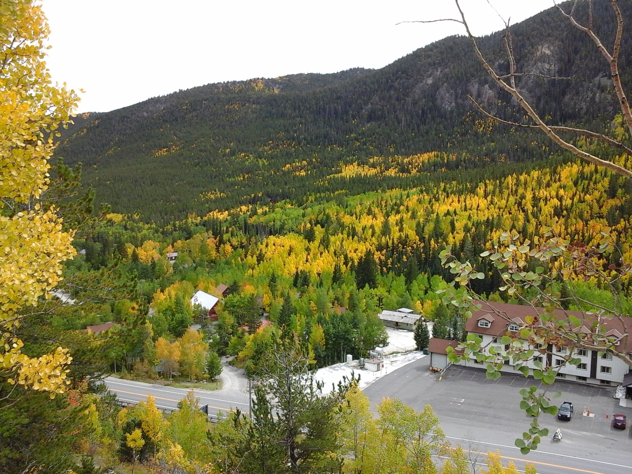 Fall scene above and around a small mountain town with Aspen trees turning golden and yellow colors.