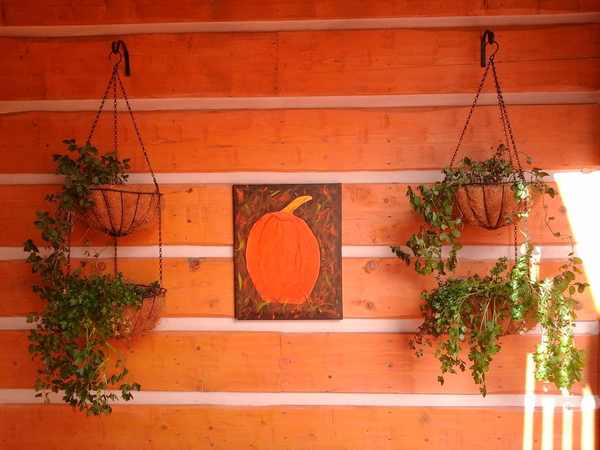 Covered entrance to condos with 2 baskets of herbs growing over the edge with a pumpkin fall sign hanging in the middle.