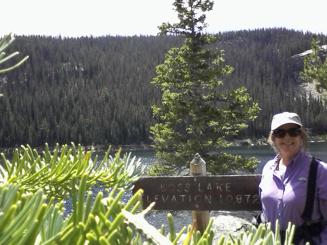 Beautiful sunny day at Boss Lake, circled by the forest. Elevation 10872