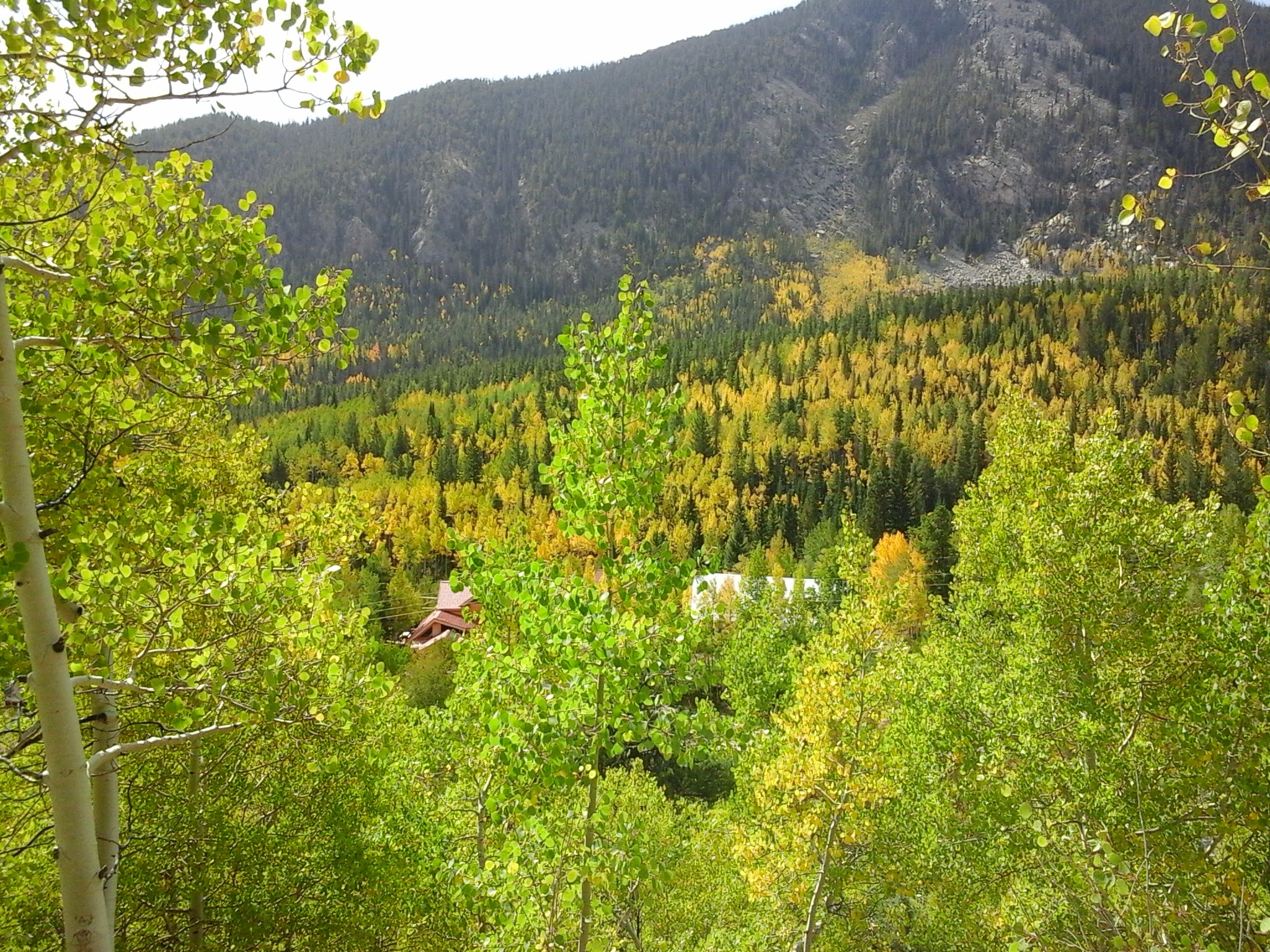 Exterior photos of fall colors in the mountains.