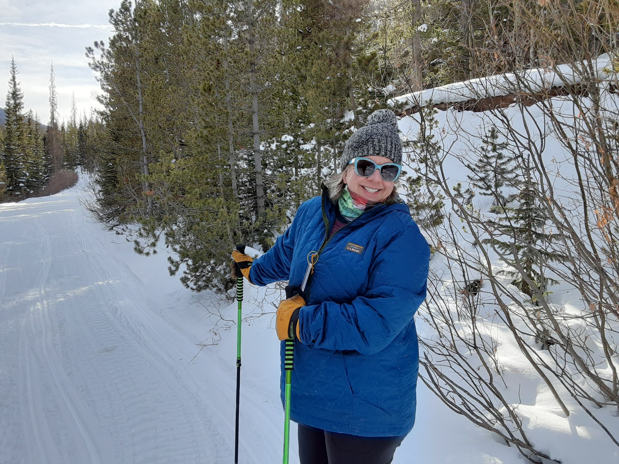 Exterior winter, lady smiling on cross country skis