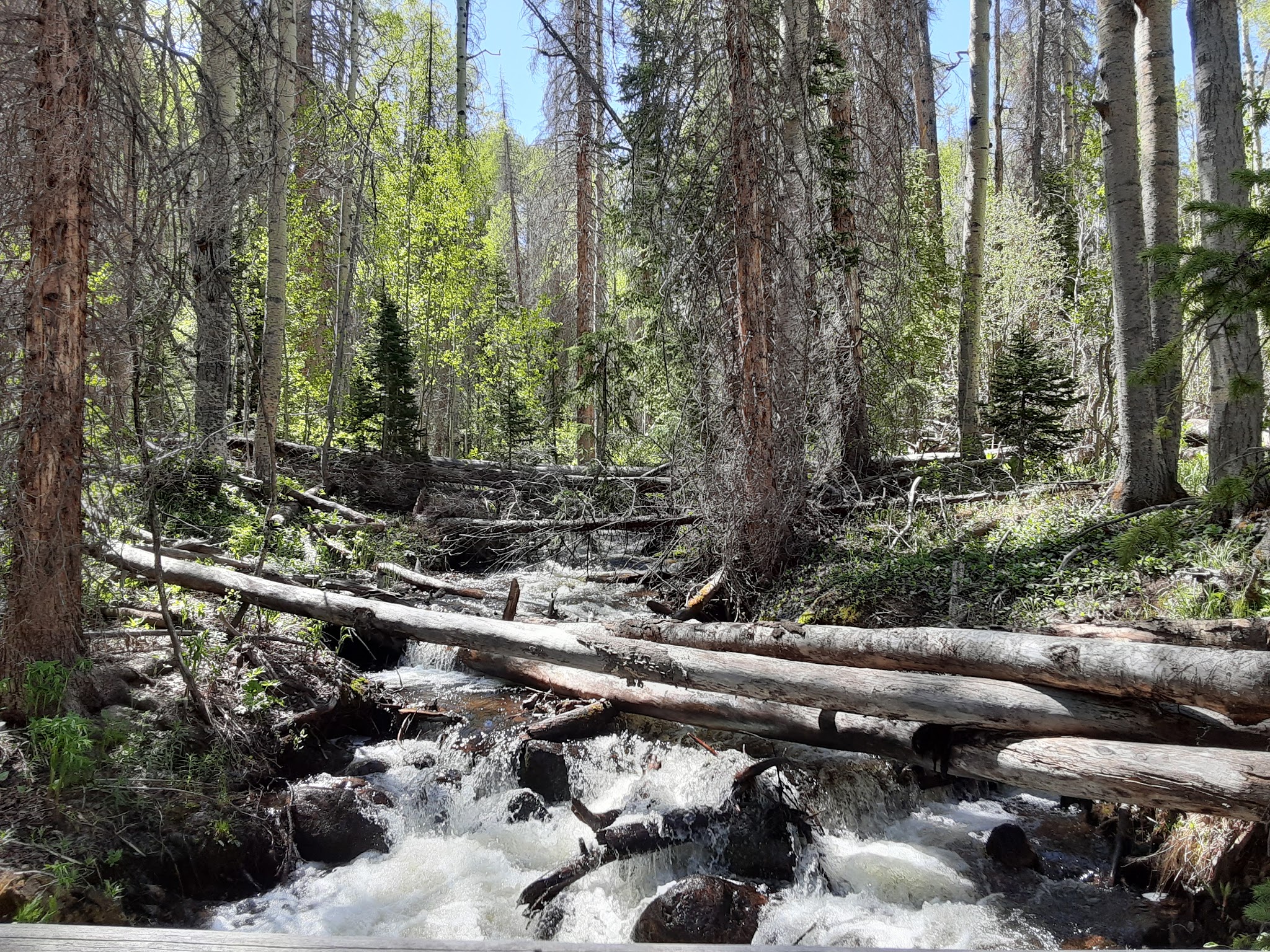Rocky Mountain stream.