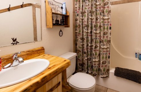 Guest bathroom with custom log cabinet, tile floor, combined tub and shower.