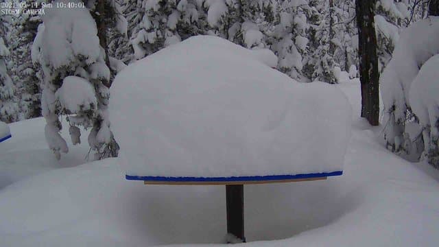 11 inches of snow on the Monarch marker.