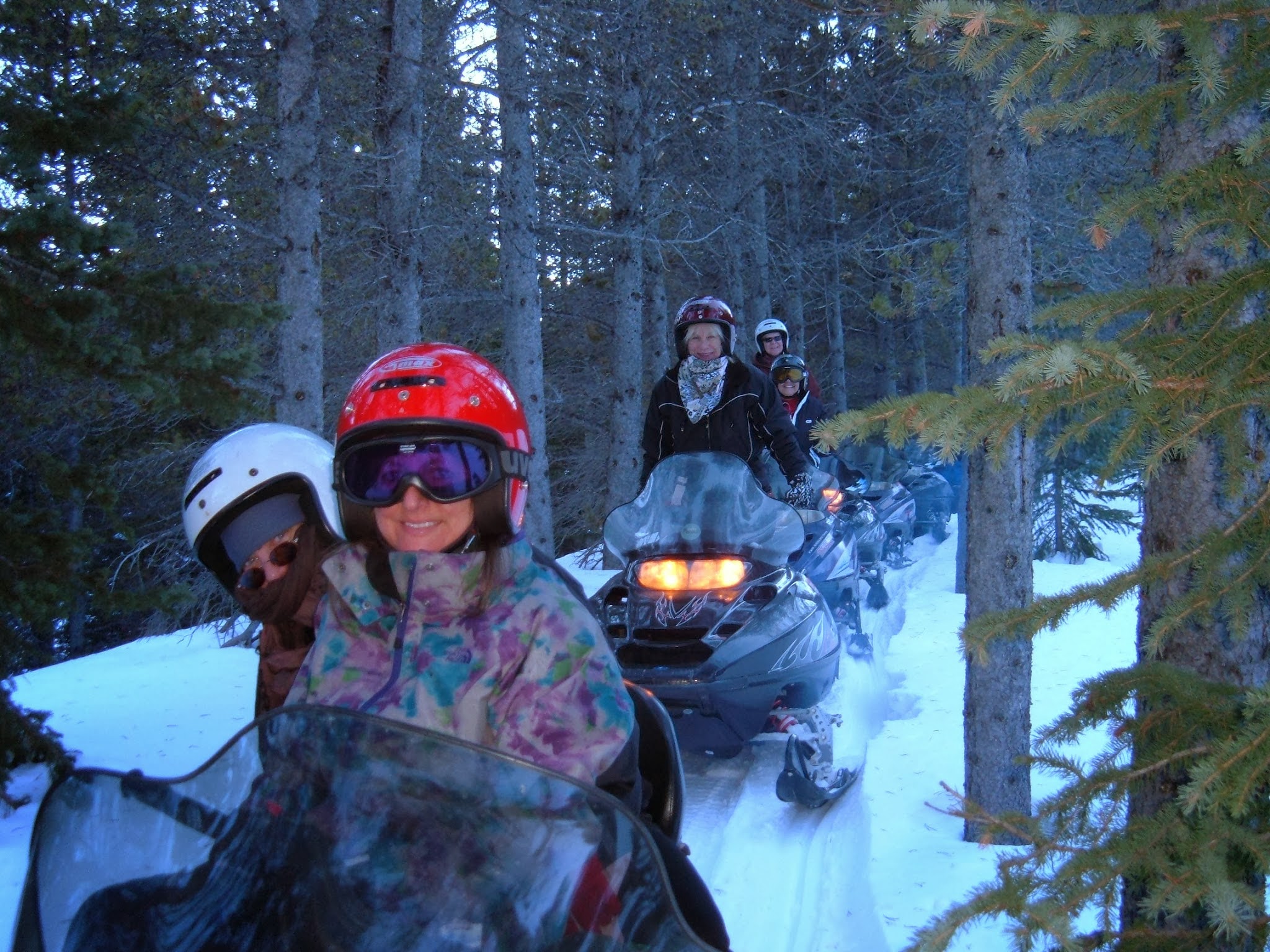 Snowmobile tour with five guests.  Riding a trail through trees on both sides.