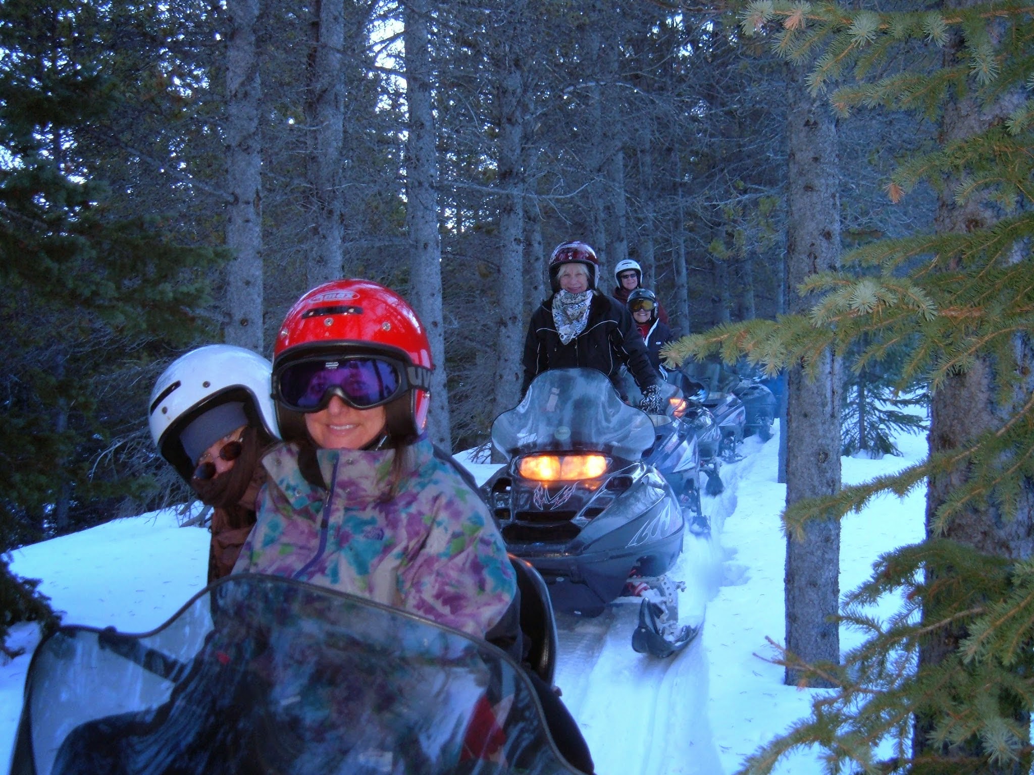 Group enjoying a snowmobile tour in the forest.