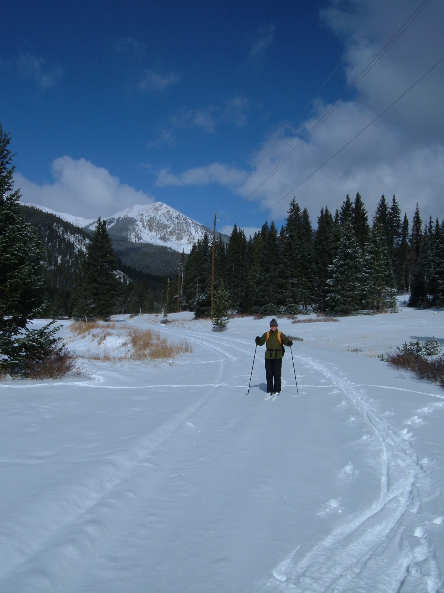 Winter, lady cross country skiing.