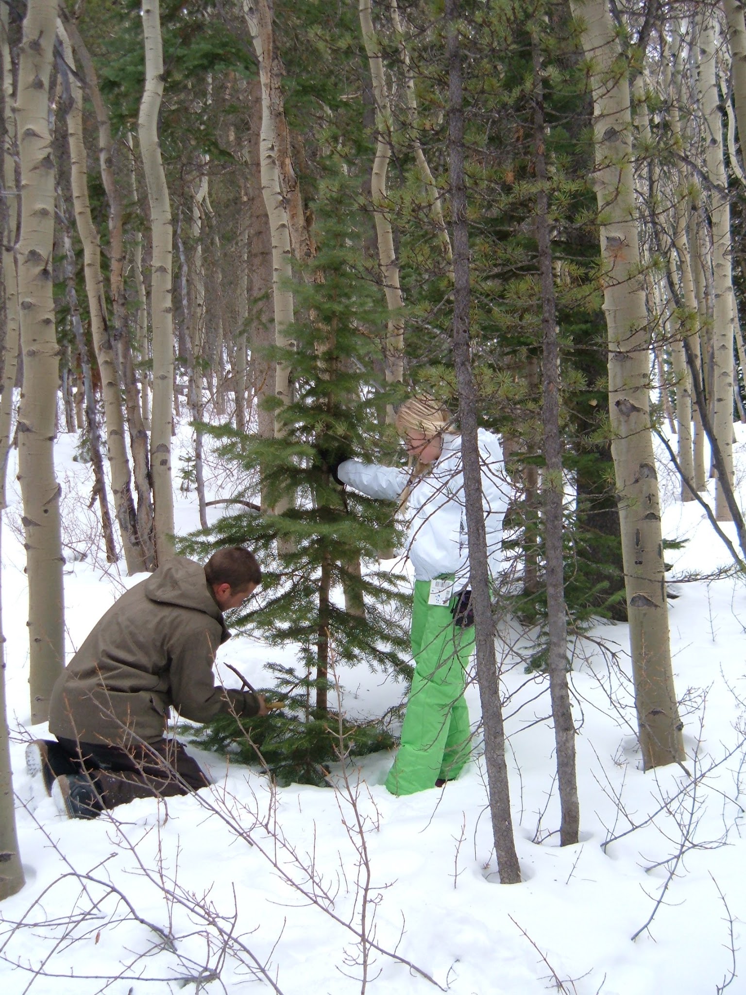 Two people cutting down a Christmas tree in the forest.