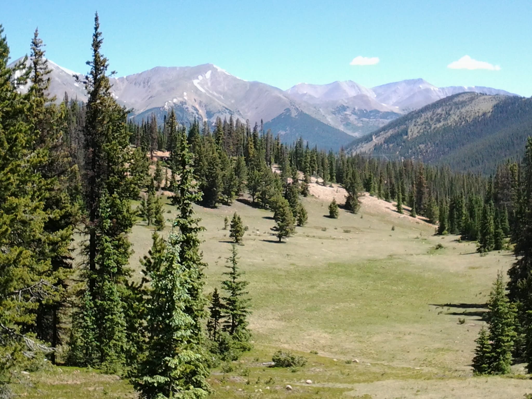 Big open meadow with pine trees along the edge, with snow capped 14ers in the distance.