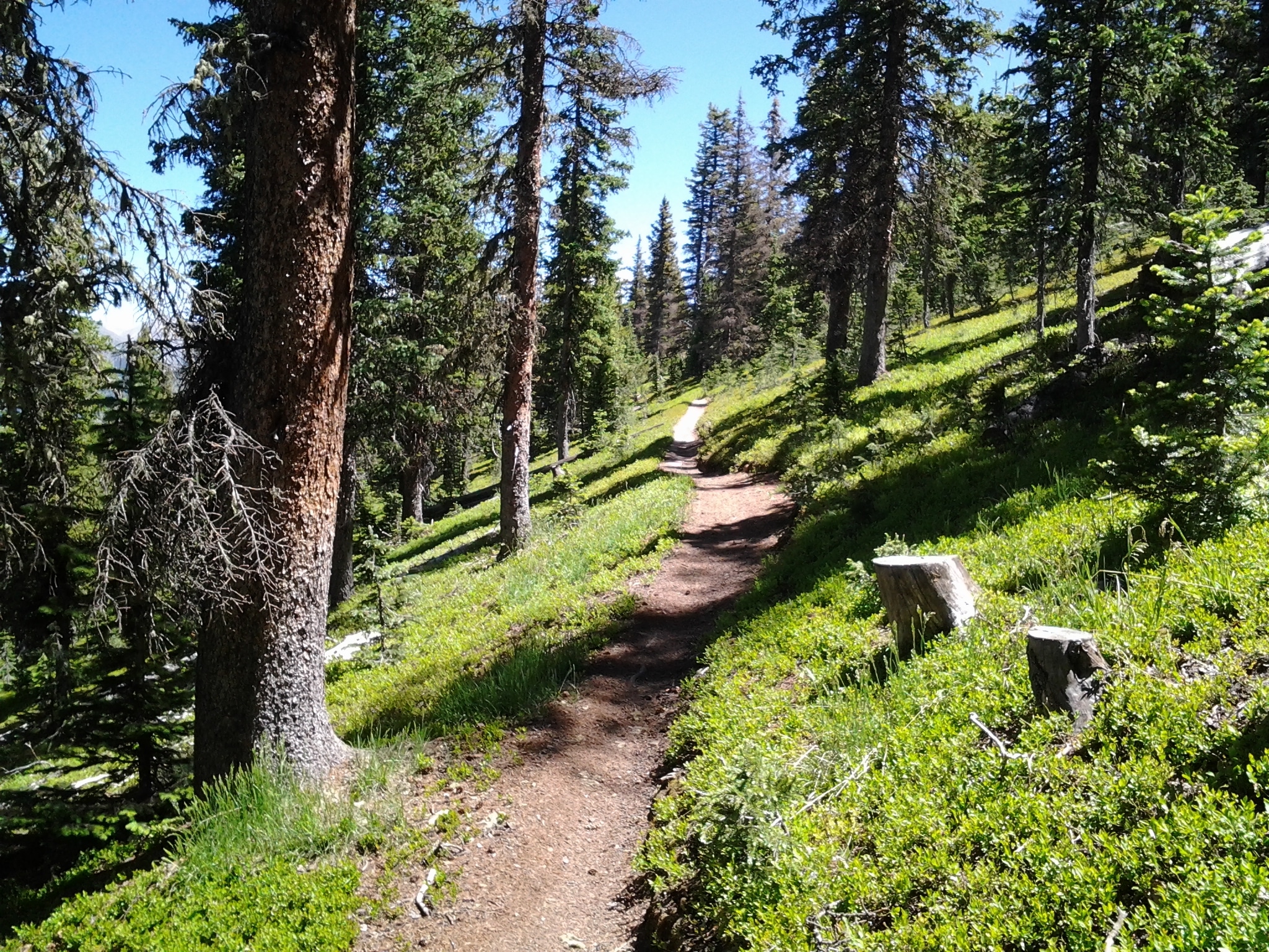 Mountain hiking trail.