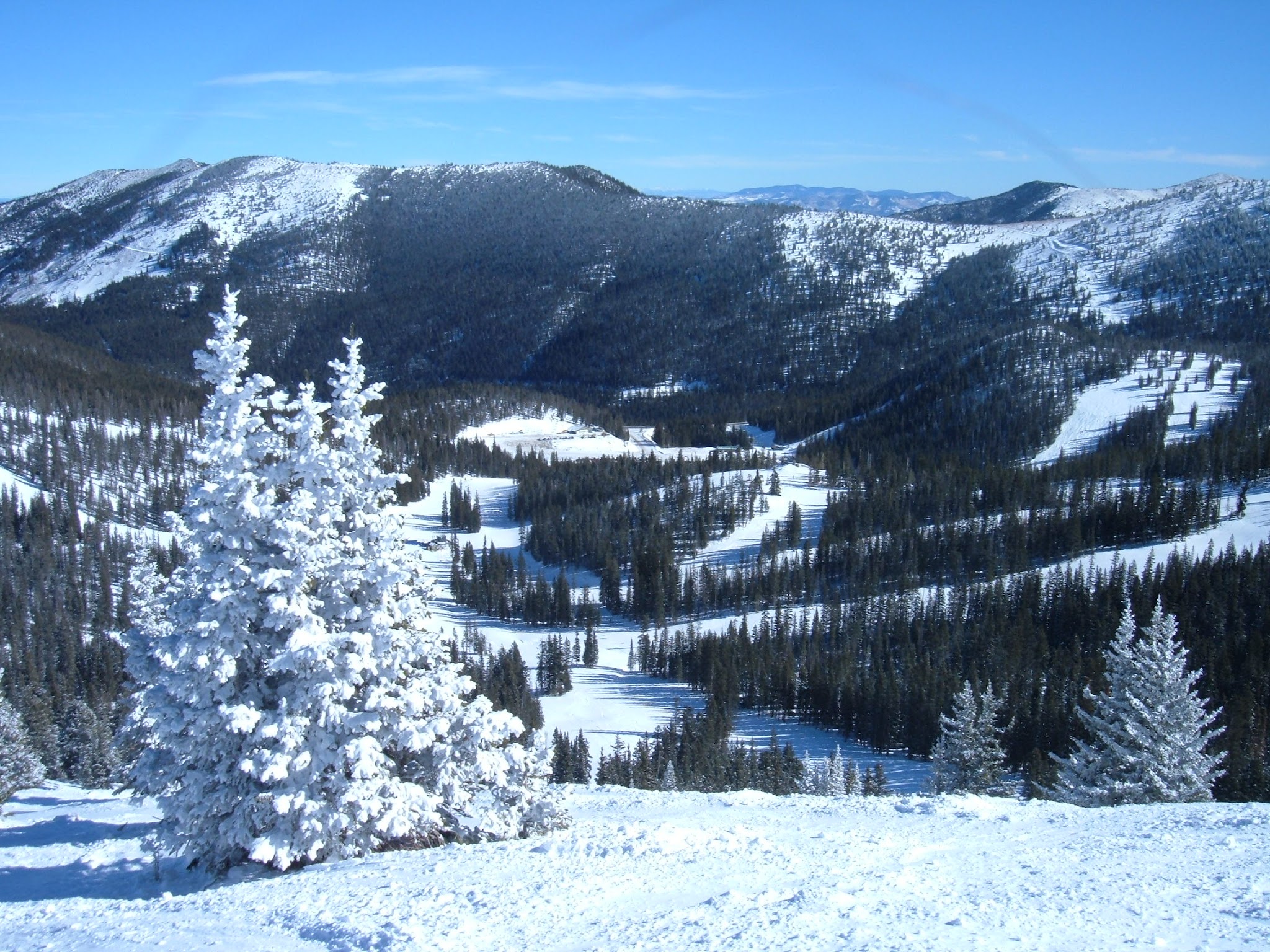 Looking down upon the ski area with snow packed trees on a sunny day.
