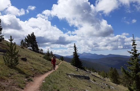 Small path on side of a mountain surrounded by green grass, trees, and mountains in the background