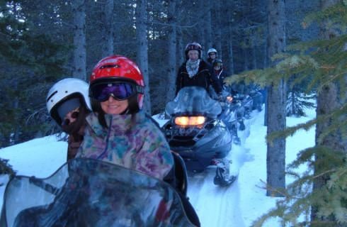 Many people riding snowmobiles on a path surrounded by large trees
