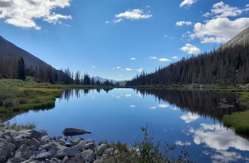 Clear and still lake surrounded by mountains, green grass, and green trees