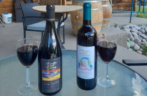 Two bottles of red wine with two glasses on a table outside.